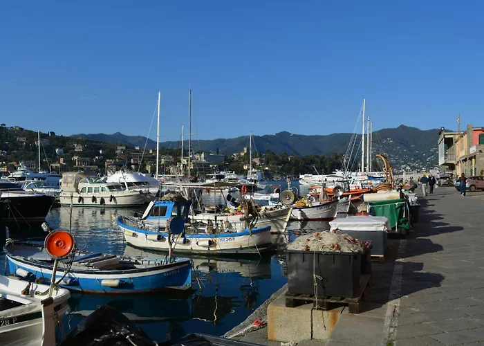 Ilgirasole * Rapallo