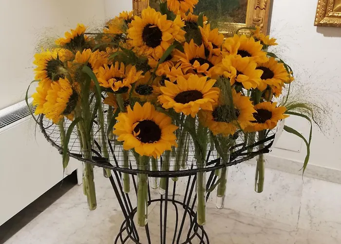 Bed & Breakfast Ilgirasole *