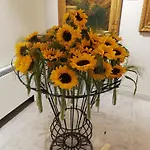 Bed and breakfast Ilgirasole *