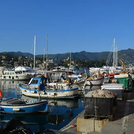 Ilgirasole * Rapallo