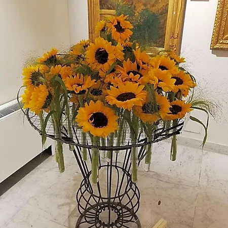 Ilgirasole